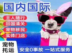 肥东白龙航空货运国际宠物托运 【国